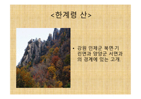 한계령-6