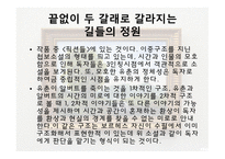 보르헤스의 생애와 작품 연구-17