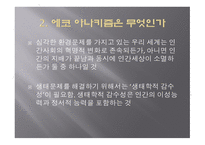 에코 아나키즘 에코 아나키즘의 현대 생태사상비판-4