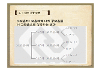 대학생 발음 실태 연구-12