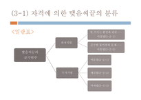 맺음 씨끝의 굴곡 범주-8
