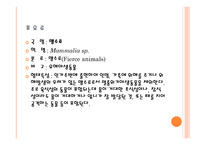 유해 야생동물-7