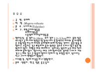 유해 야생동물-13
