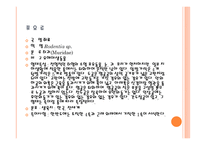 유해 야생동물-17
