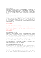 유럽 통합의 전반적인 과정-3