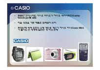 CASIO 전자사전 조사보고서-4