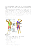근력을 키우기 위한 수업-2