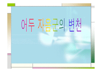 어두 자음 군의 변천 개요-1