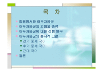 어두 자음 군의 변천 개요-2