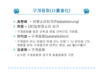 동화 이화 구개음화 모음조화 개론 용어와 분류의 차이 중심으로-7