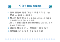 동화 이화 구개음화 모음조화 개론 용어와 분류의 차이 중심으로-9