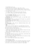 와이 글의 쓰기 평가-3