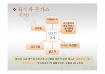 돈가스의 탄생 2-8