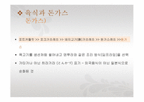 돈가스의 탄생 2-9