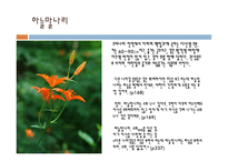 너도 하늘말나리야-이금이-4