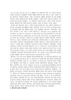 페르마 Pierrede Fermat-3