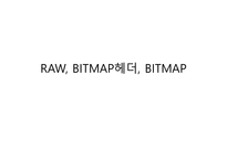 RAWBITMAP헤더 BITMAP-1
