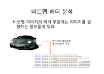 RAWBITMAP헤더 BITMAP-2