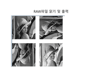 RAWBITMAP헤더 BITMAP-8