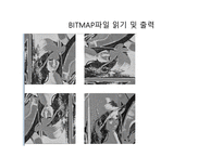 RAWBITMAP헤더 BITMAP-12
