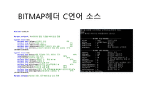 RAWBITMAP헤더 BITMAP-13