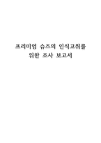 프리미엄 슈즈의 인식 고취를 위한 조사보고서-1