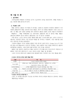 프리미엄 슈즈의 인식 고취를 위한 조사보고서-3