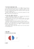프리미엄 슈즈의 인식 고취를 위한 조사보고서-12