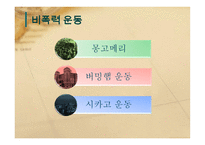 마틴 루터 킹 2세-8
