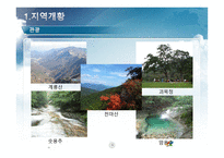 계룡시 분석-6