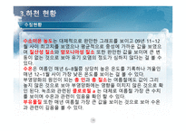 계룡시 분석-15