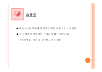 2011 신춘문예 동화 동시 발표-10