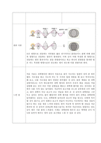 빛의 편광을 이용해 동생 놀려주기-3