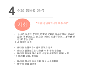 비보이 스캔들 인물분석-8
