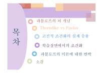 Pavlov 파블로프-3