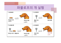 Pavlov 파블로프-6