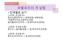 Pavlov 파블로프-7
