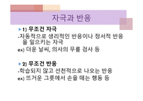 Pavlov 파블로프-8