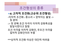 Pavlov 파블로프-17