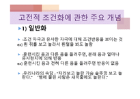 Pavlov 파블로프-18