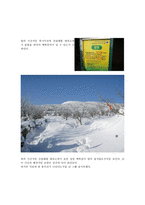 나와 한라 산자 신과의 싸움-6