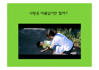 벌레 이야기 밀양-20