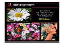 위대한 개츠비 The Great Gatsby-8