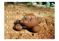 강아지똥 보고서-2