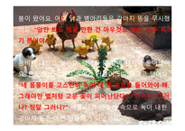 강아지똥 보고서-14