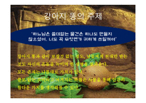 강아지똥 보고서-15
