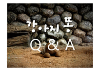 강아지똥 보고서-16