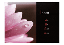 수목원 견학 보고서 관상식물과 약용식물을 중심으로-2