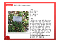 수목원 견학 보고서 관상식물과 약용식물을 중심으로-15