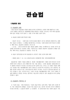관습법 개론-1